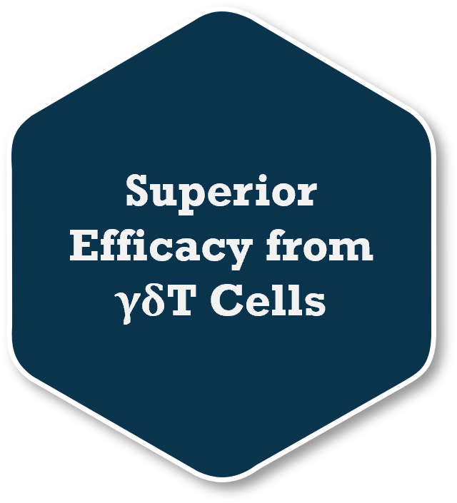 Superior Efficacy from γδT Cells